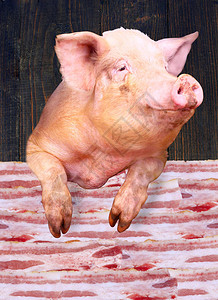 猪仔在木头背景上看着一层的猪肉屠夫图片
