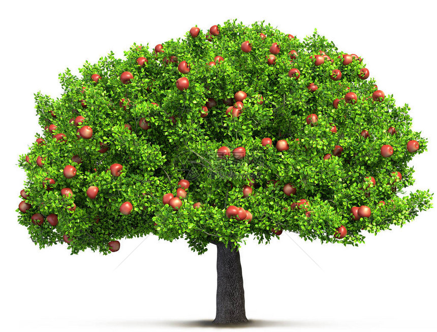 一棵红苹果树孤立的3D插图图片