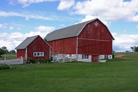 家庭奶牛场的红色谷仓和棚子背景图片