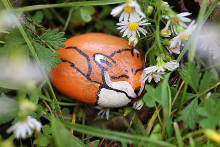 一只沉睡的小红狐狸被涂在岩石上图片