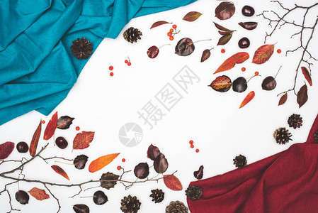 白底蓝红织物干秋叶的顶视图图片