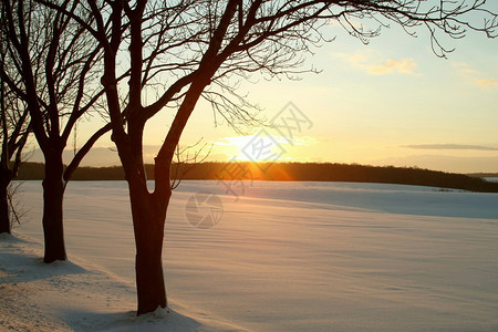 景象是冬天的日落在雪上覆着的田地上图片