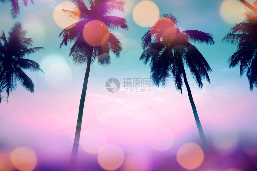 夏季棕榈树以彩色光亮Retro过图片