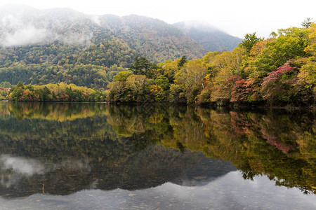 秋天在托奇吉省Nikko的Y图片