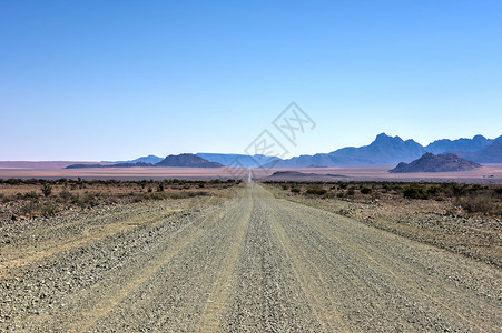 纳米比亚NamibRand自然保护区的图片