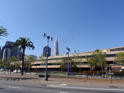 Embarcadero路树木和旧金山的标志市中心建筑图片