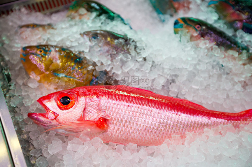 鲜鱼在湿市场图片