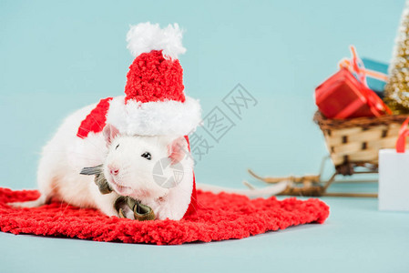 新年红地毯上装扮用老鼠和圣塔帽的红地毯上的大图片