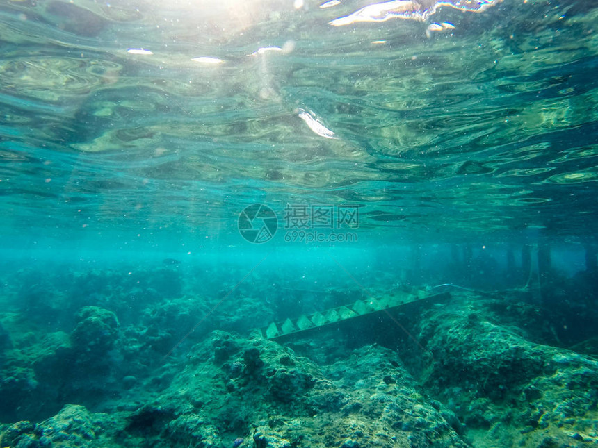 珊瑚礁水下生活图片