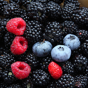 新鲜黑莓覆盆子蓝莓和一颗野草莓图片