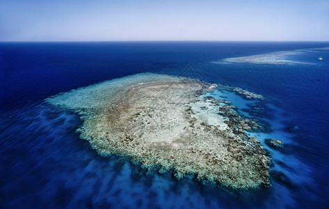 Suadi珊瑚礁图片