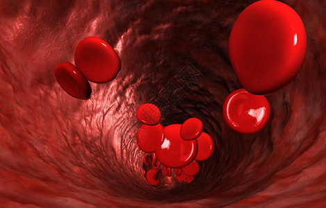 血脉与红细胞通过血液循环的血图片