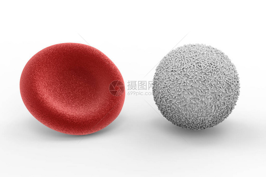 3D白底带红色血细胞图片