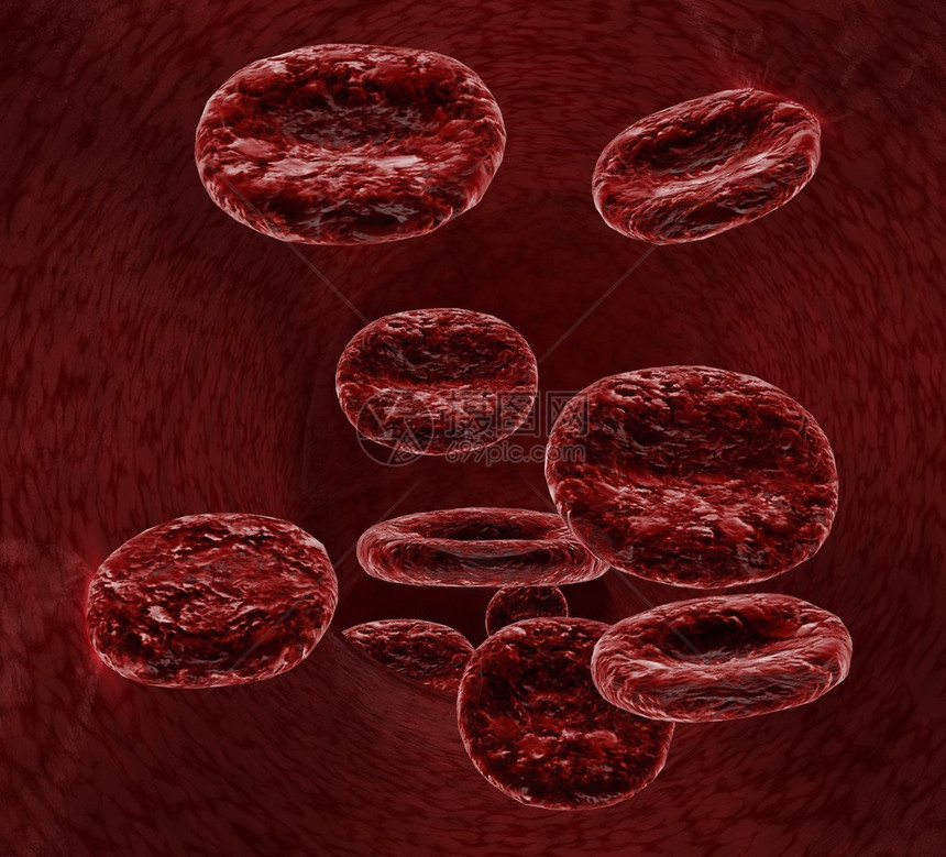 血细胞特写图片
