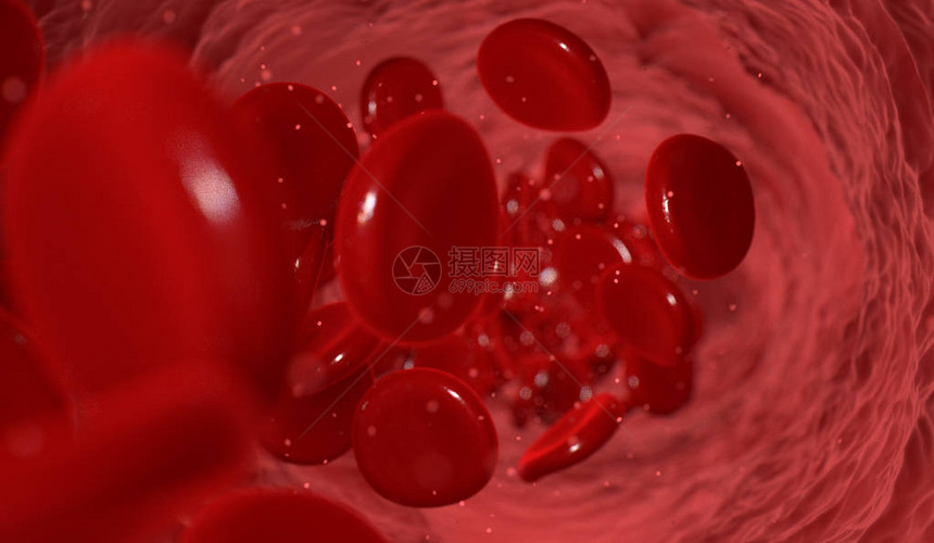 以红色血细胞流经红血细胞的血液管进行大型连接图片