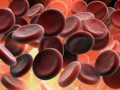 3d渲染动脉中血细胞的插图图片