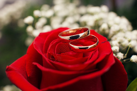 结婚戒指背景图片