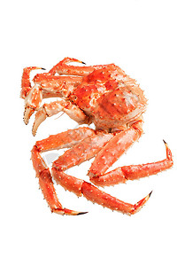 红色大螃蟹在白背景顶背景图片