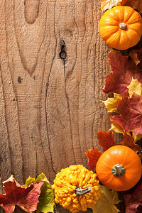 装饰南瓜和秋叶万圣节背景图片