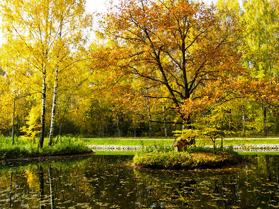 秋天的风景池塘上的两个小岛图片