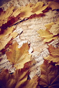 复古纸背景上的秋叶图片