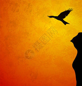 飞鸟黑色日出剪影grunge橙色插图图片