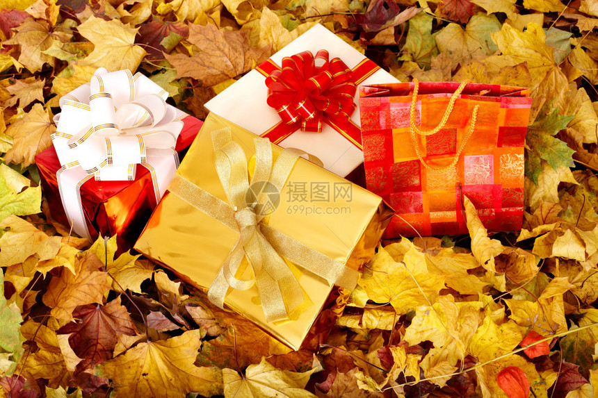 秋天树叶中的礼品盒组秋季假期图片