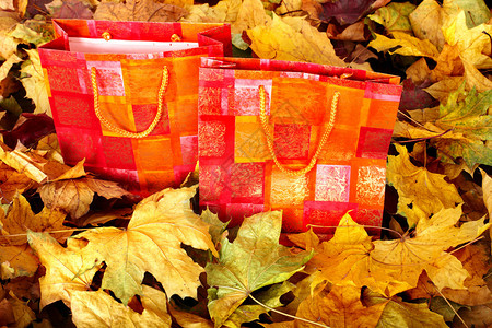 秋天树叶中的购物袋组秋季假期图片