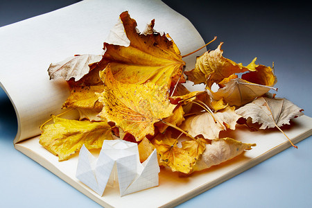 笔记本和秋叶上的折纸图片