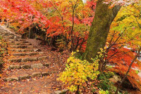 长滨秋季的日本寺庙背景