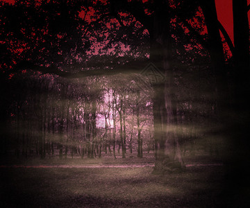 黑暗森林背景图片