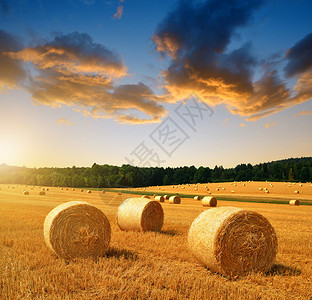 日落时农田上的稻草捆图片