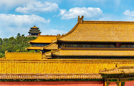 北京紫禁城传统屋顶图片