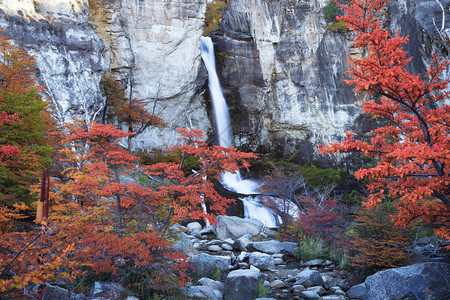 秋天卡拉法特瀑布菲茨罗伊山巴塔哥尼亚洛斯格拉西亚背景