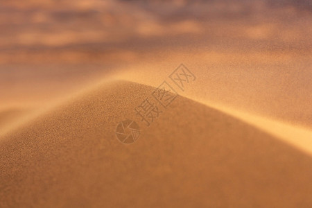 阿尔及利亚沙丘背景撒哈拉沙漠插画