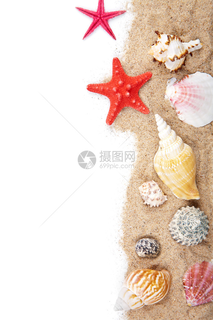 孤立的沙子和贝壳图片