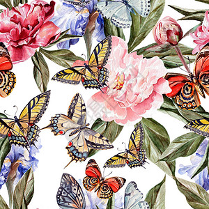 美丽的蝴蝶和鲜花的水彩色图案图片