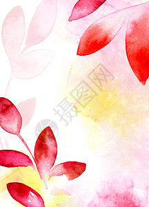 红黄叶花卉背景图片