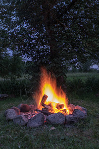 树木在壁炉中燃烧图片