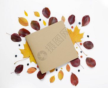 秋天的边界白色背景上充满活力的红色和黄色叶子的组成平图片