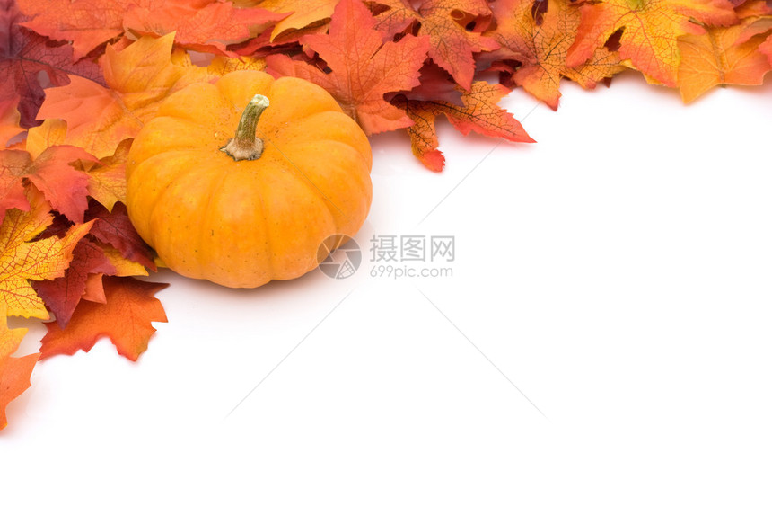 秋天白底的落叶顶端有南瓜孤立在白色图片