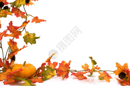 秋天的叶子底部有一个南瓜秋天的背景图片