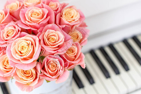 美丽的粉红色玫瑰在钢图片