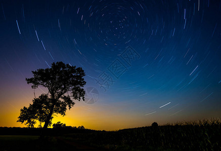 星轨与北半球和星的夜景背景上有大树和星迹图片