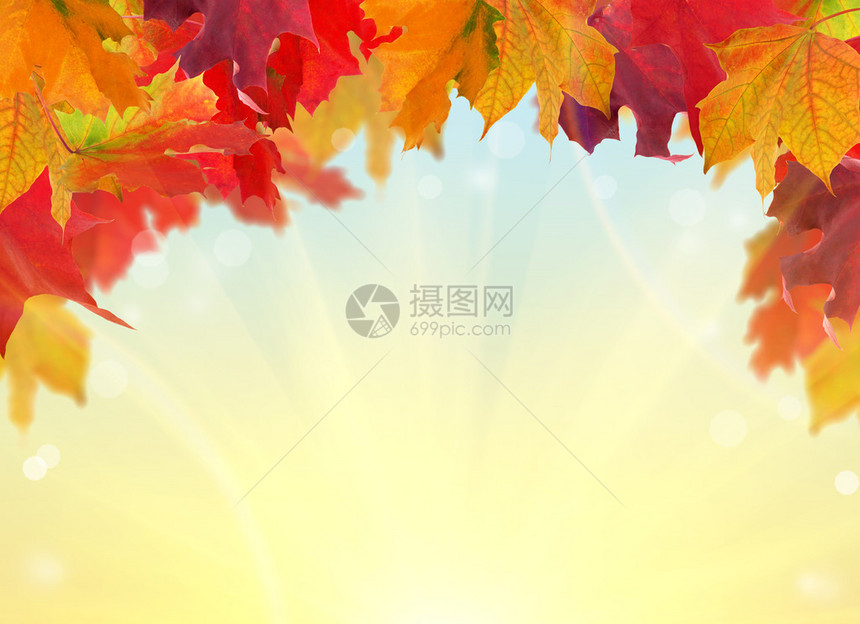秋的图纸在明亮背景图片