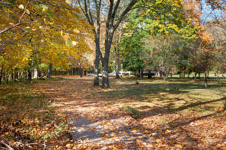 空荡的公园秋景地上有彩色干枯落叶图片