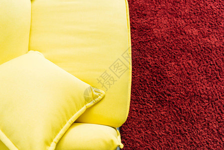 黄皮沙发和红毛地图片