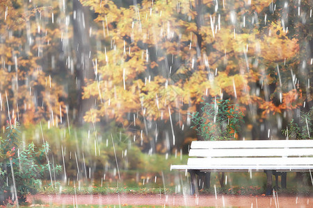 秋雨背景秋雨下公园长凳背景图片