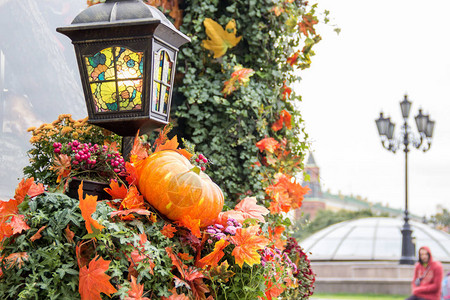 城市节日的秋天户外装饰橙南瓜和红叶黄色小花朵和胡须浆果楼梯上的图片