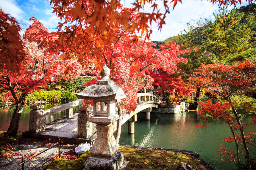 Eikando寺京都关西日本Kansai的Eikando寺园秋色图片